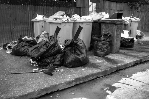 Garden clearance service in Croydon removing garden waste
